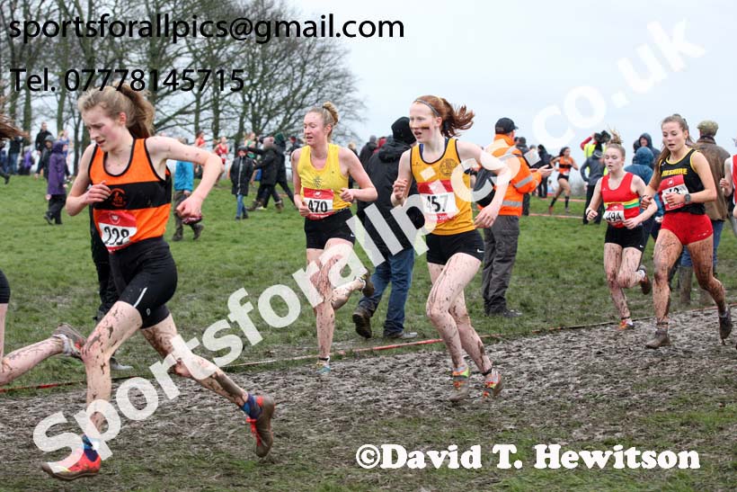 Senior girls 2019 New Balance English Schools Cross Country Champs, Temple Newsam, Leeds. Photo:  David T. Hewitson/Sports for All Pics